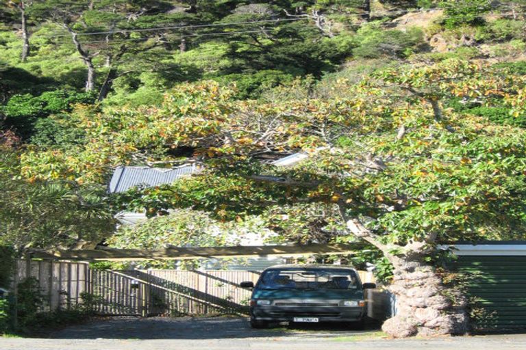 Photo of property in 307 Muritai Road, Eastbourne, Lower Hutt, 5013