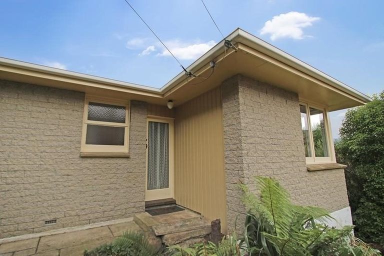 Photo of property in 177 Evans Street, Opoho, Dunedin, 9010