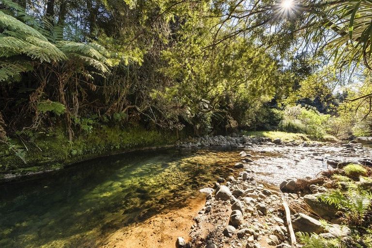 Photo of property in 202b Thompsons Track, Aongatete, 3178