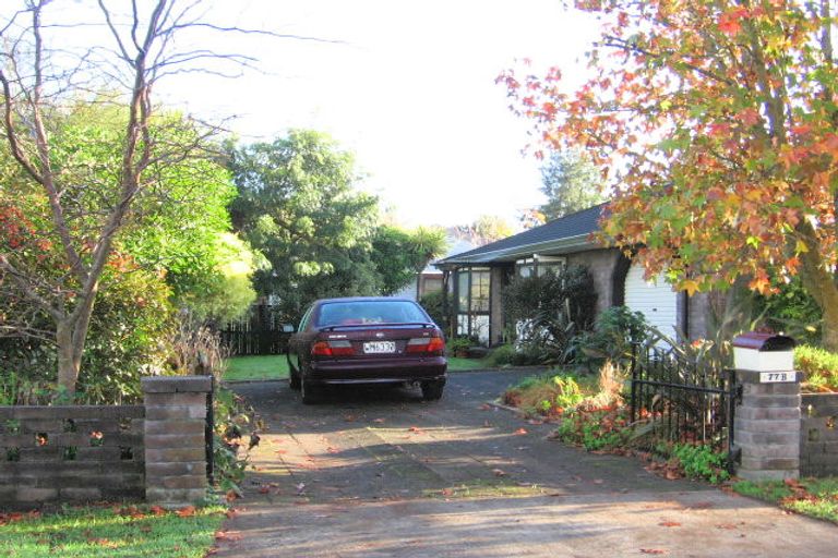 Photo of property in 77a Allen Street, Morrinsville, 3300