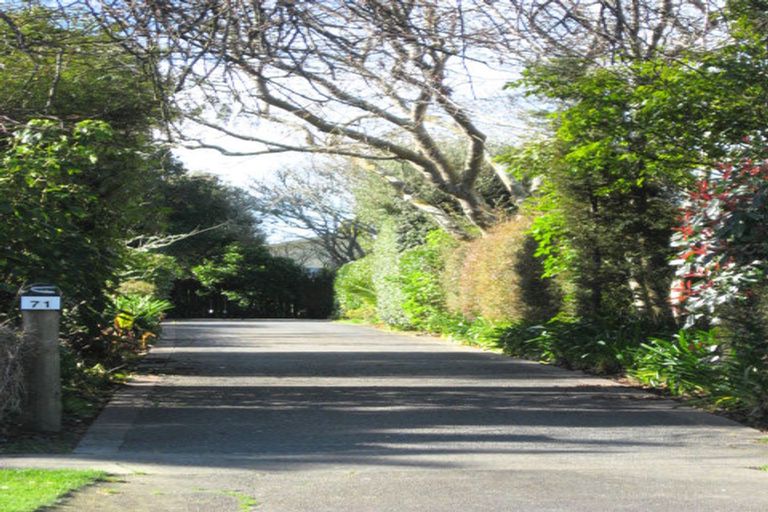 Photo of property in 71 Macarthur Street, Levin, 5510