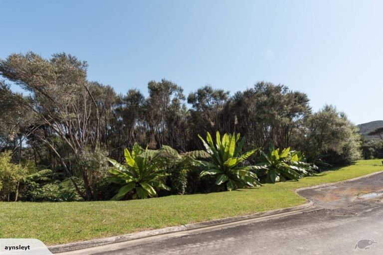 Photo of property in 4 Toi Track, Russell, 0272