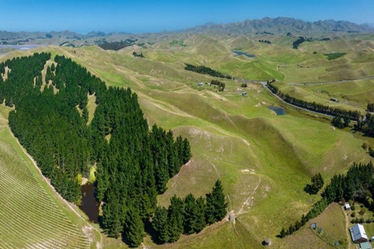 Photo of property in 363 Caseys Road, Lake Grassmere, Seddon, 7285