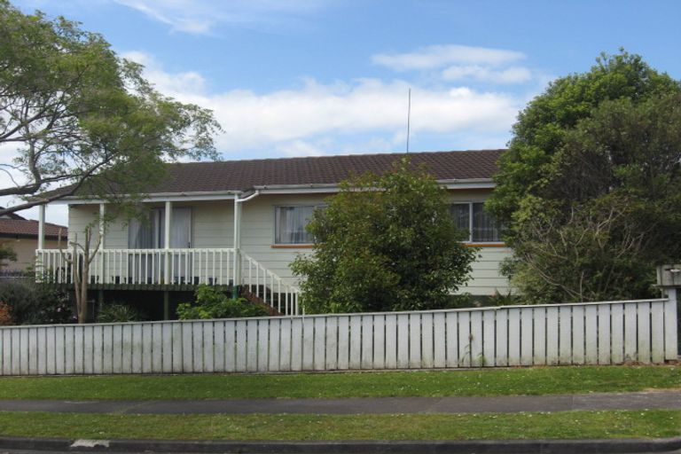 Photo of property in 102 Finlayson Avenue, Clendon Park, Auckland, 2103
