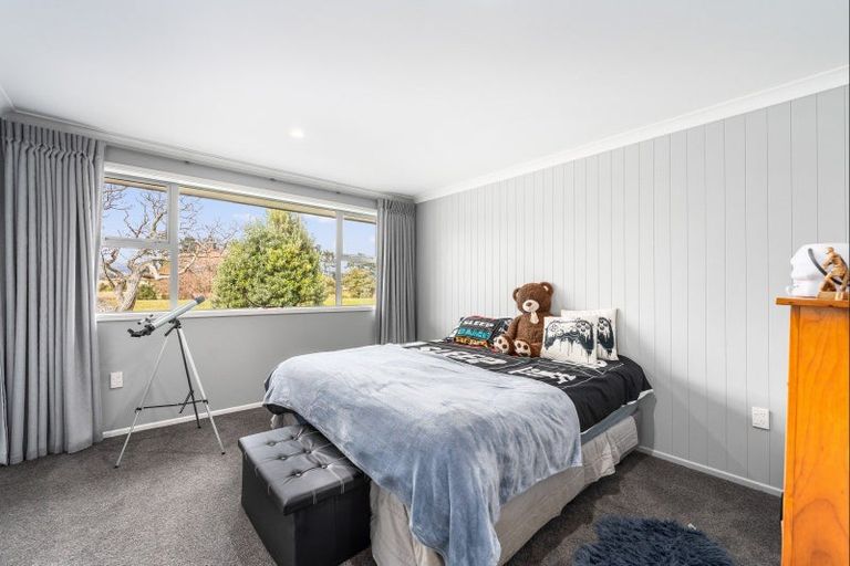 Photo of property in 123 Dittmer Drive, West End, Palmerston North, 4412