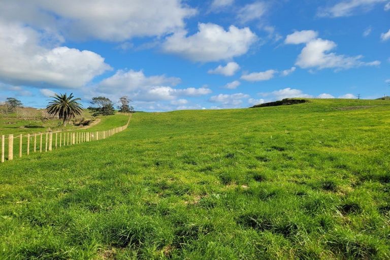 Photo of property in 110a Colville Road, Dargaville, 0371