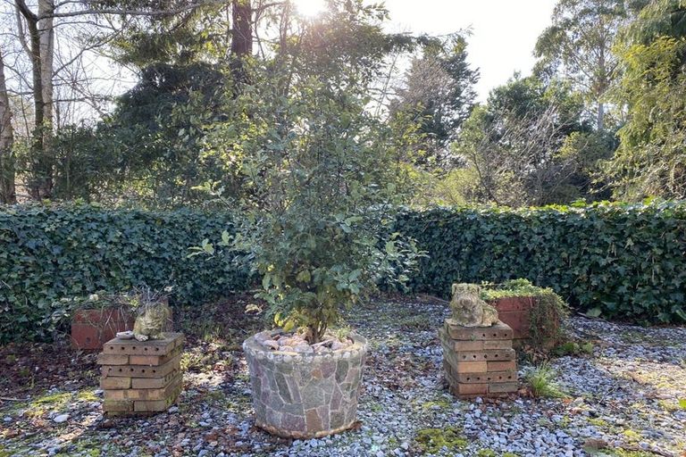 Photo of property in 61 Dame Street, Waikouaiti, 9510