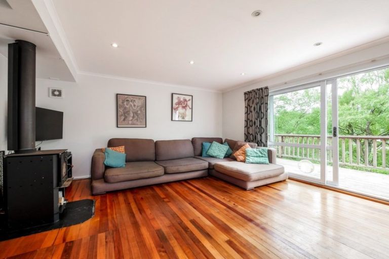 Photo of property in 53 Grey Street, North East Valley, Dunedin, 9010