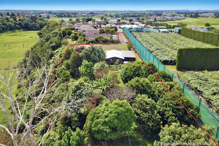 Photo of property in 3 Donelle Place, Te Puke, 3119