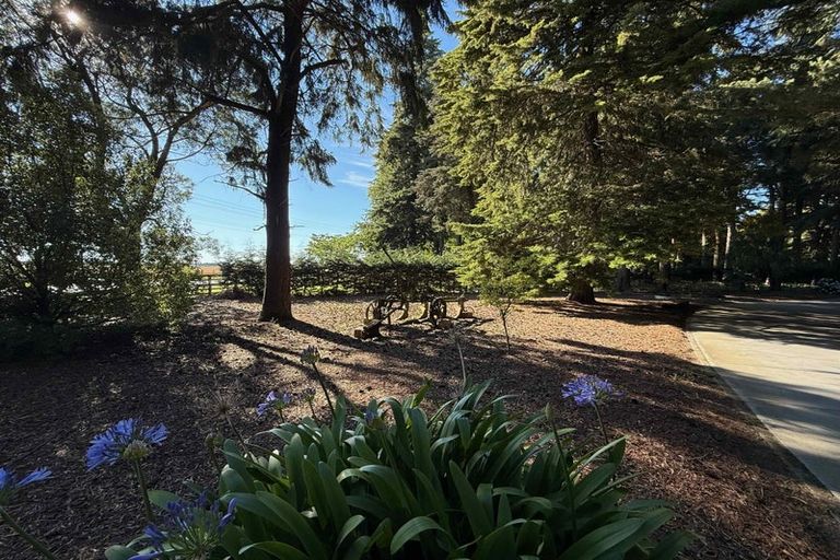 Photo of property in 206 Beach Road East, Elgin, Ashburton, 7777