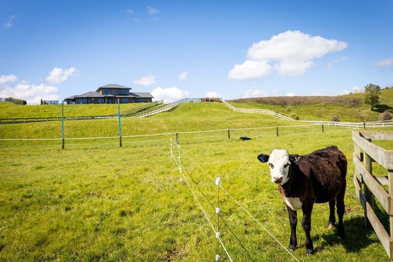 Photo of property in 103a Cameron Road, Westmere, Whanganui, 4574