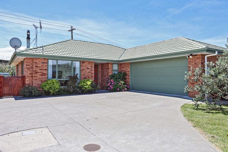Photo of property in 1021 Reka Street, Akina, Hastings, 4122