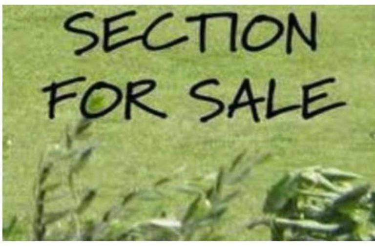 Photo of property in 132 Fred Taylor Drive, Westgate, Auckland, 0814