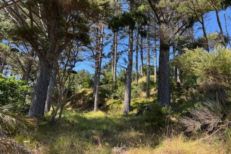 Photo of property in 71a Hukatere Road, Pukenui, Kaitaia, 0484