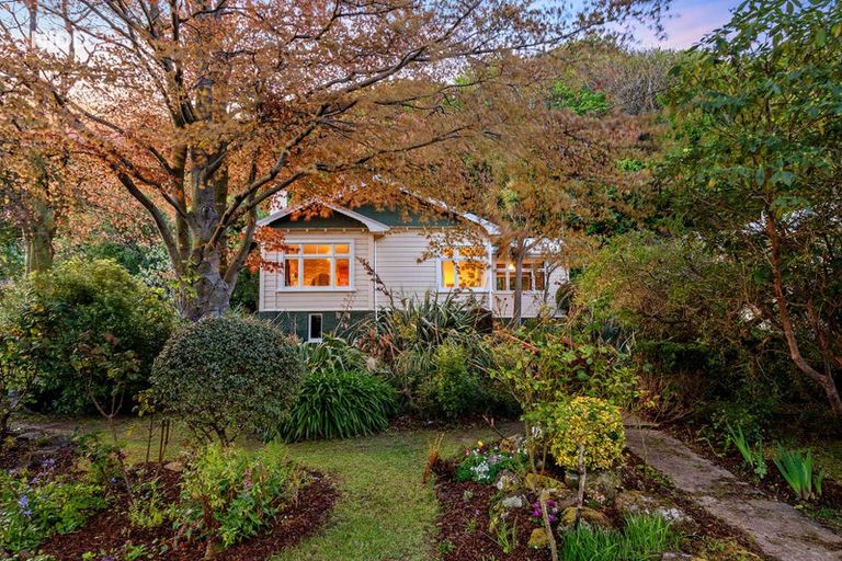 Photo of property in 59 Somerville Street, Andersons Bay, Dunedin, 9013