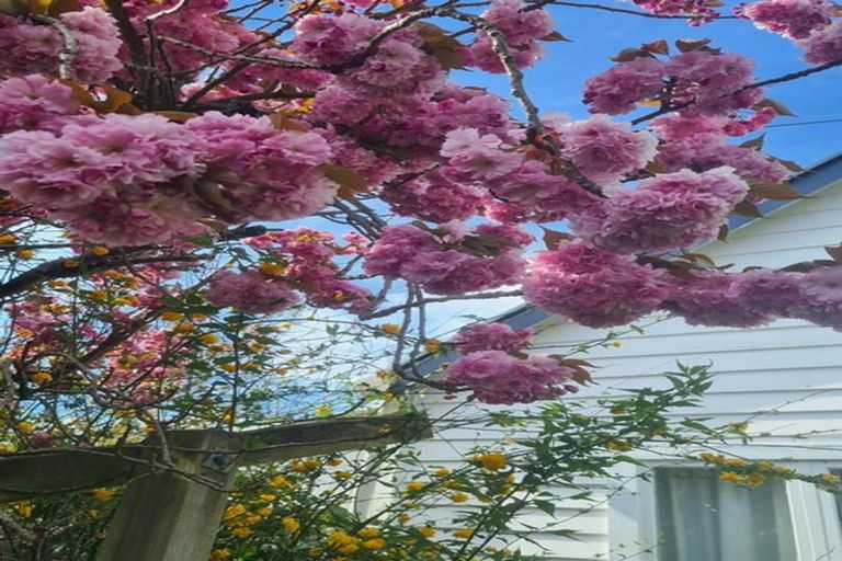 Photo of property in 8 Queen Street, Springfield, 7681