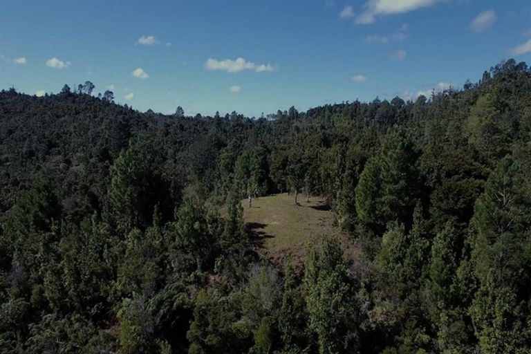 Photo of property in 625 Rangihau Road, Coroglen, Whitianga, 3591