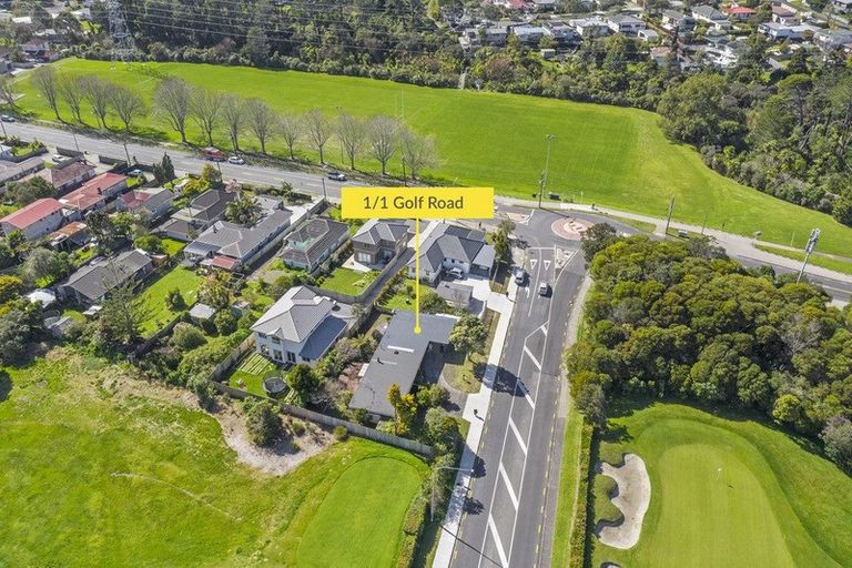 Photo of property in 1/1 Golf Road, New Lynn, Auckland, 0600