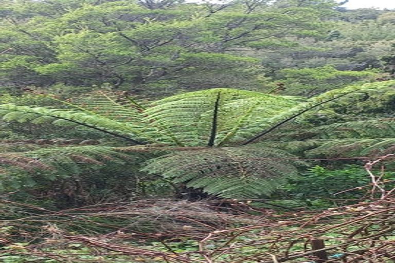 Photo of property in 49 John Street, Stokes Valley, Lower Hutt, 5019