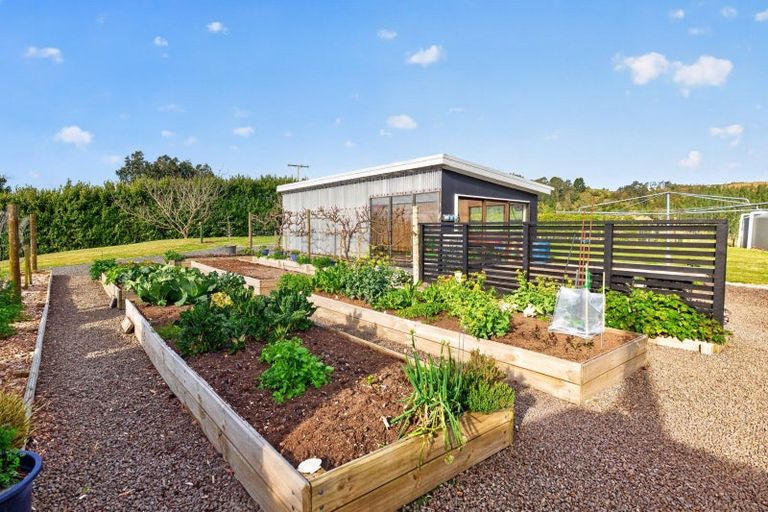 Photo of property in 157e Kaiate Falls Road, Waitao, Tauranga, 3175