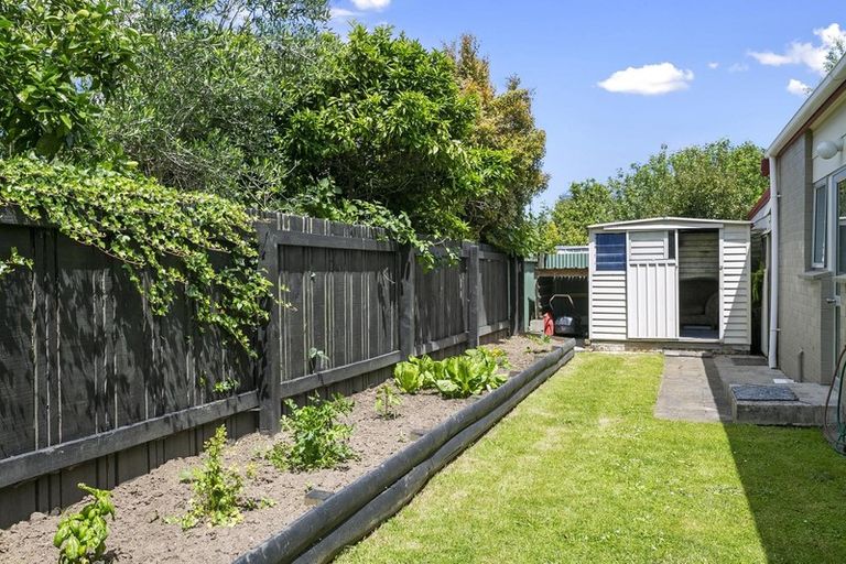 Photo of property in 50b Williams Street, Cambridge, 3434