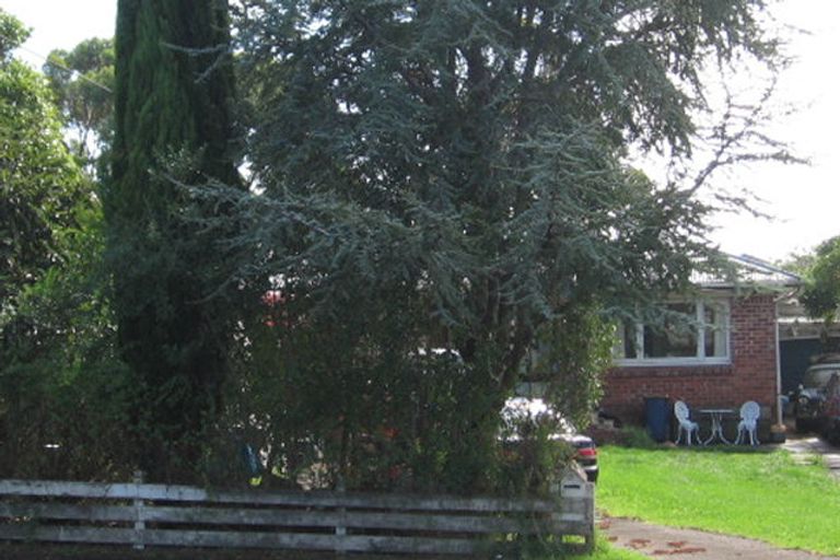 Photo of property in 17 Metcalfe Road, Ranui, Auckland, 0612