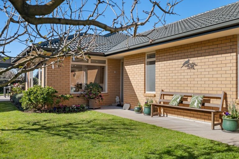 Photo of property in 19 Clydesburn Avenue, Te Puke, 3119