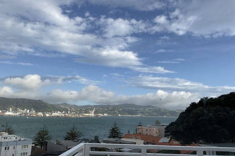 Photo of property in 2b Wilkinson Street, Oriental Bay, Wellington, 6011