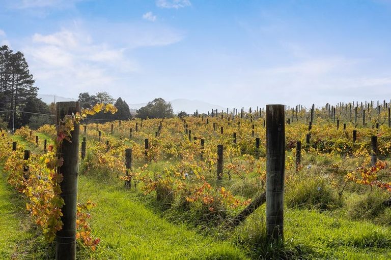 Photo of property in 460 Matakana Road, Warkworth, 0985