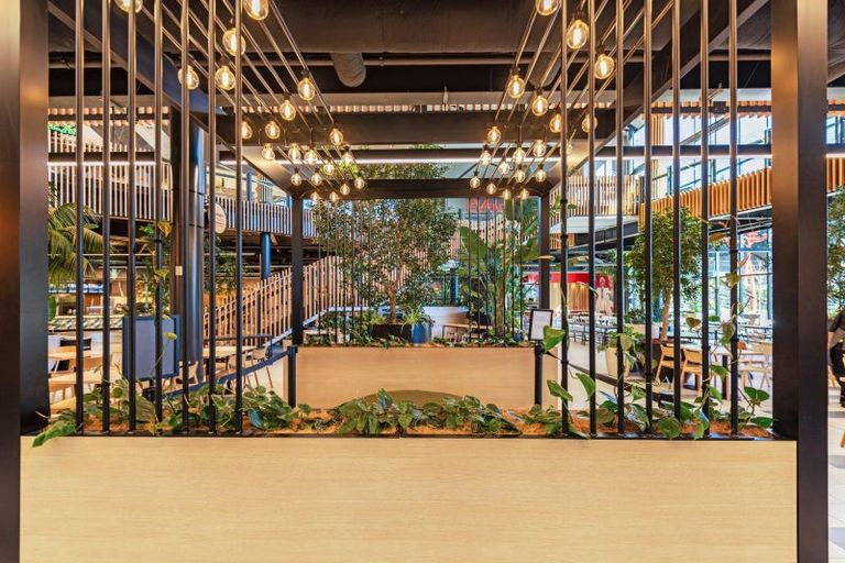 Photo of property in 14 Foley Grove, Pyes Pa, Tauranga, 3110