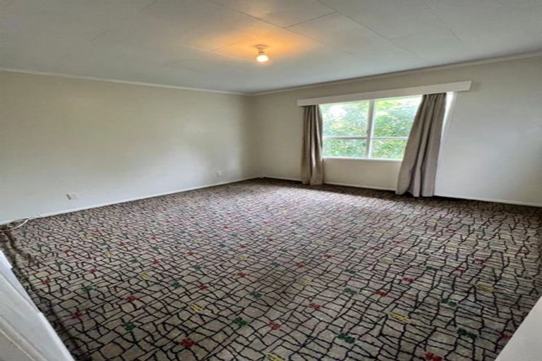 Photo of property in 19 Von Sturmer Street, Mangere East, Auckland, 2024