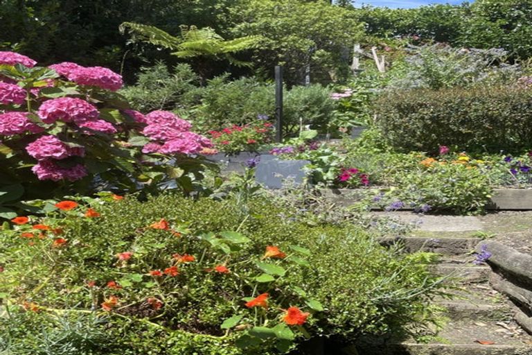 Photo of property in 521a Adelaide Road, Berhampore, Wellington, 6023