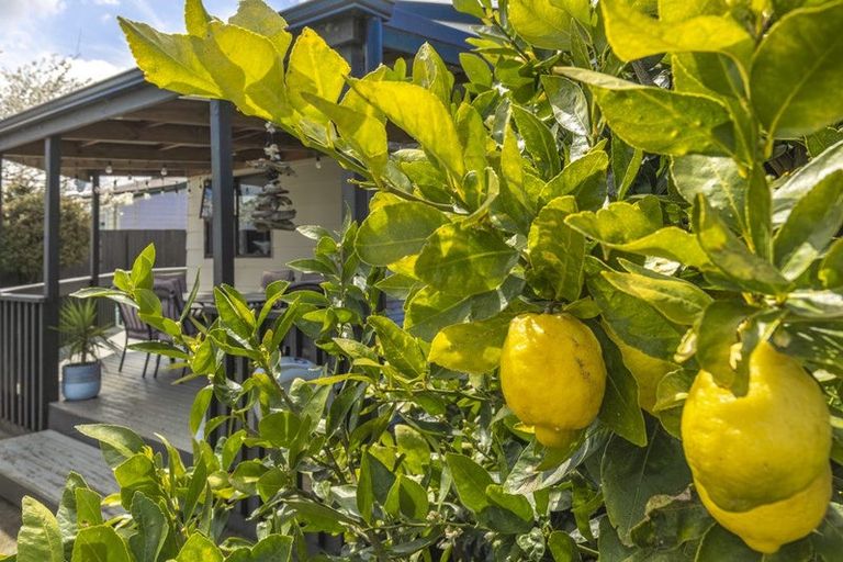 Photo of property in 149 Hakanoa Street, Huntly, 3700