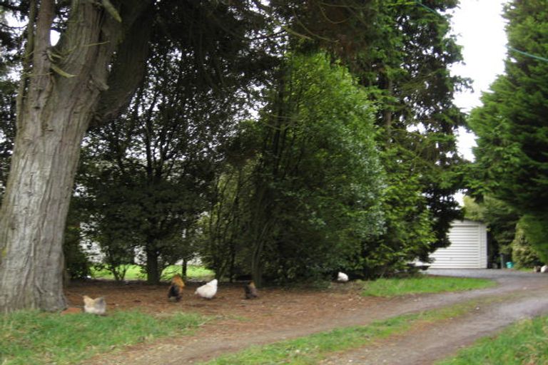 Photo of property in 81 Boxall Street, Tisbury, Invercargill, 9877