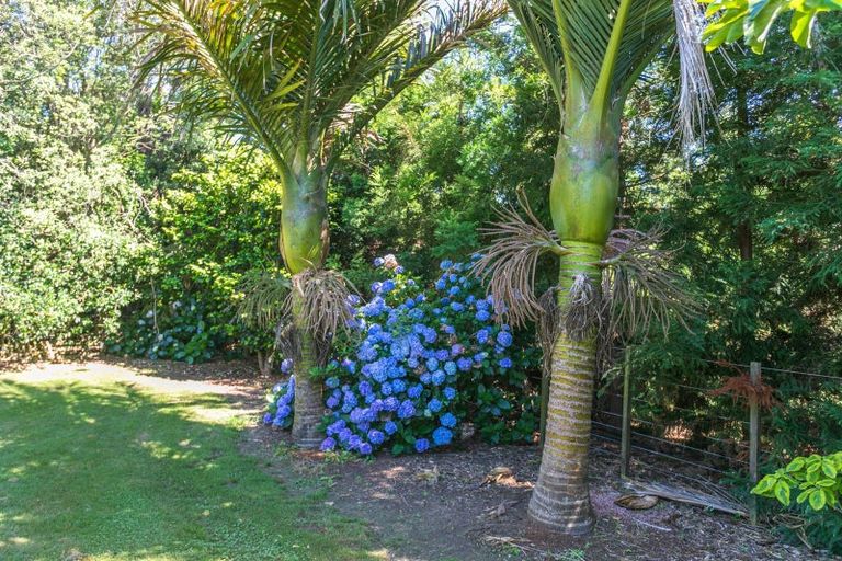 Photo of property in 33 Orua Lane, Hot Water Beach, Whitianga, 3591