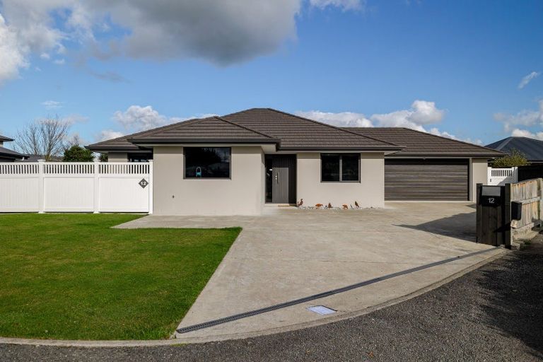 Photo of property in 12 Peckham Lane, Ashhurst, 4810