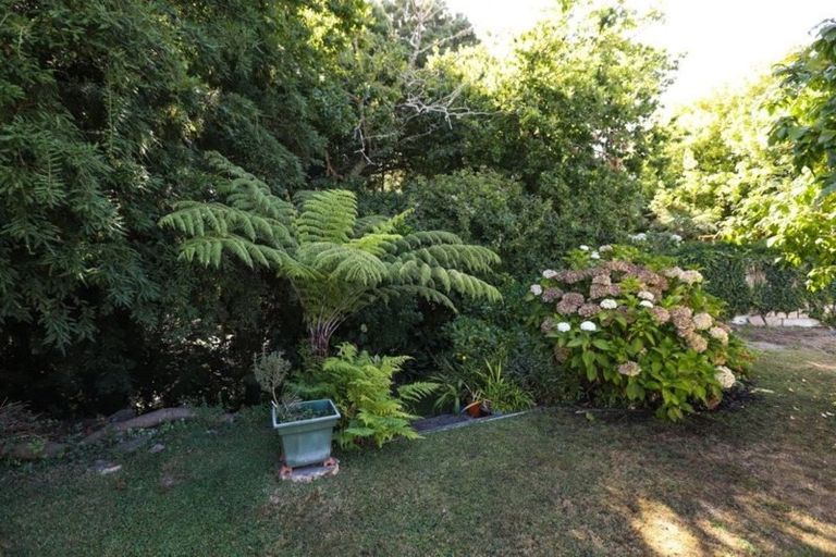 Photo of property in 53 Berkley Avenue, Hillcrest, Hamilton, 3216