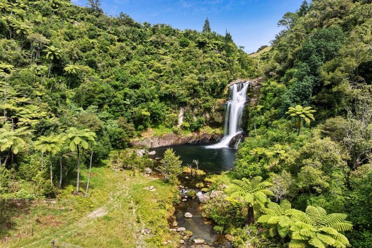 Photo of property in 371 Esdaile Road, Whakamarama, Tauranga, 3180