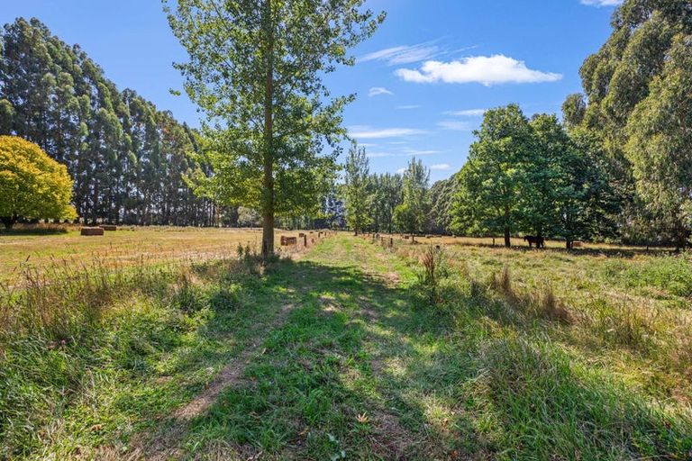 Photo of property in 334 Tuahiwi Road, Tuahiwi, Kaiapoi, 7691