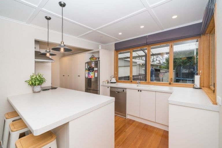 Photo of property in 30 Guy Avenue, Takaro, Palmerston North, 4410