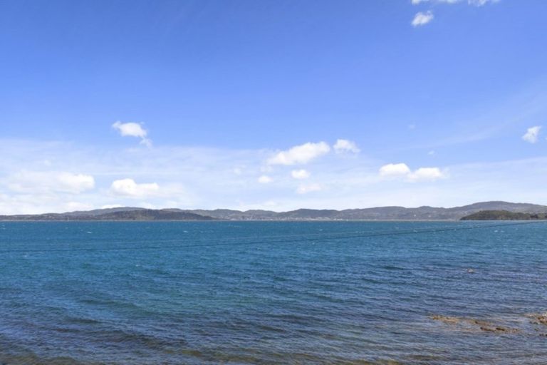 Photo of property in 501 Marine Drive, Sunshine Bay, Lower Hutt, 5013