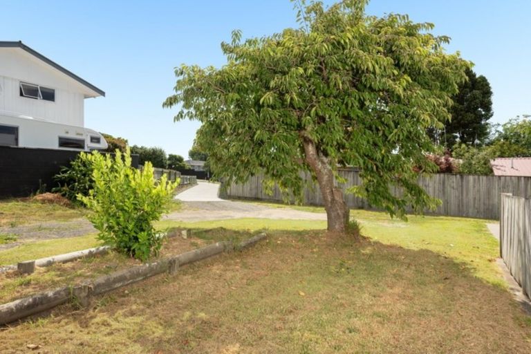 Photo of property in 17a Wiremu Street, Brookfield, Tauranga, 3110