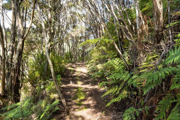 Photo of property in 690 Waikino Road, Karetu, Kawakawa, 0283