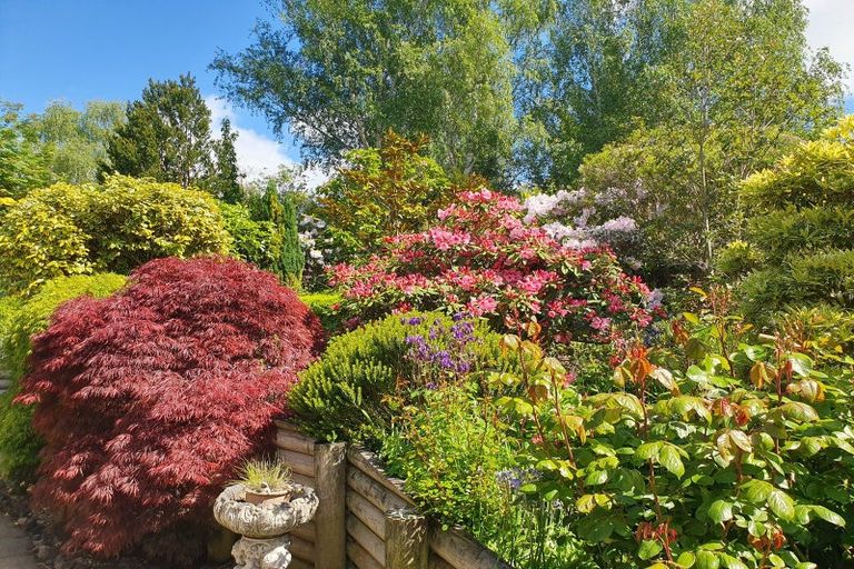 Photo of property in 45a Mcfadden Drive, Mosgiel, 9024