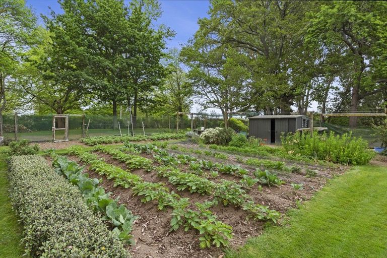 Photo of property in 253 Kaipaki Road, Ohaupo, 3881