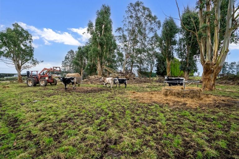 Photo of property in 109 Longbush Road, Longbush, Invercargill, 9871