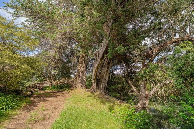 Photo of property in 38 Robinson Road, Whitianga, 3510