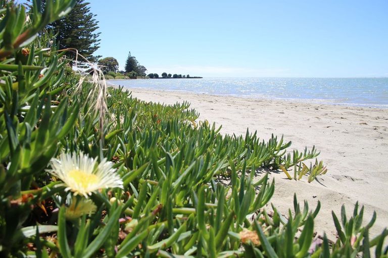 Photo of property in 22 Trewavas Street, Motueka, 7120