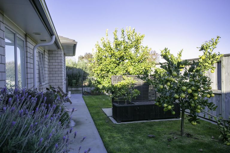 Photo of property in 12 O'sullivan Drive, Matamata, 3400