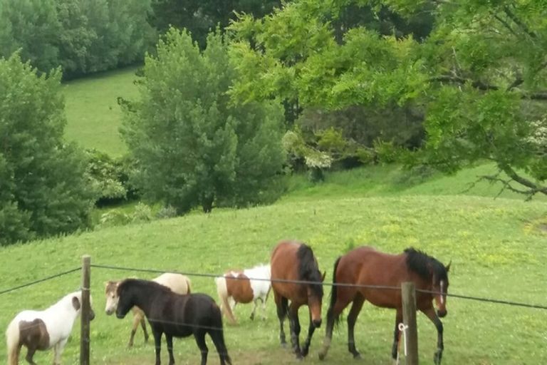 Photo of property in 44 Slater Road, Ruawaro, Huntly, 3772